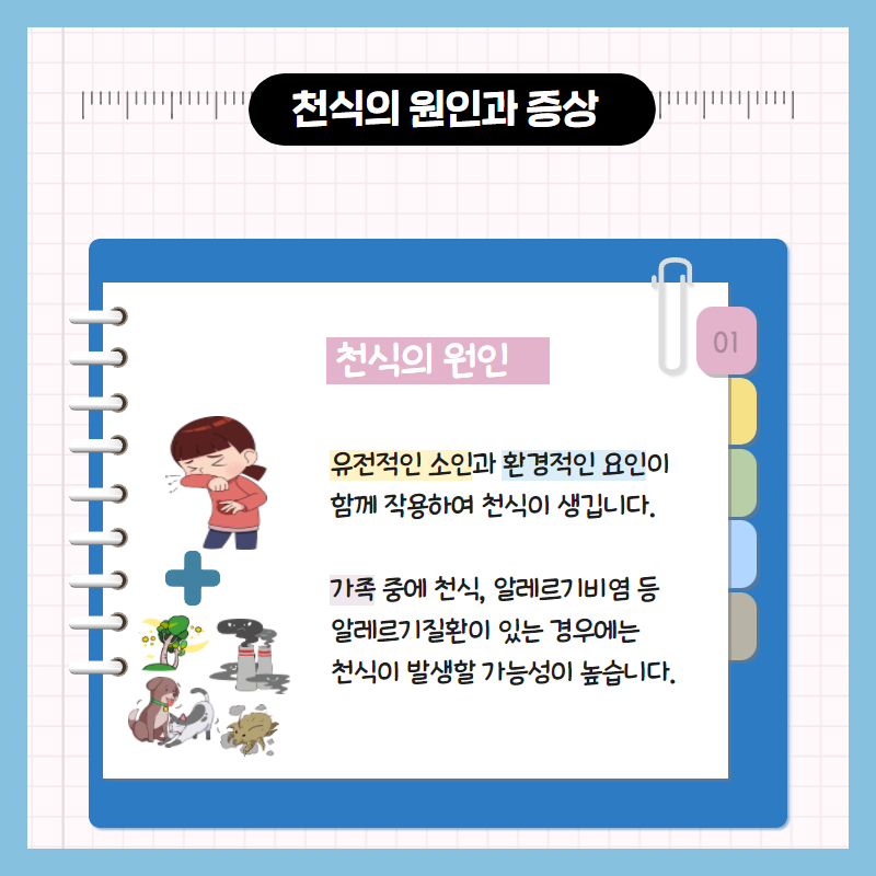 갤러리